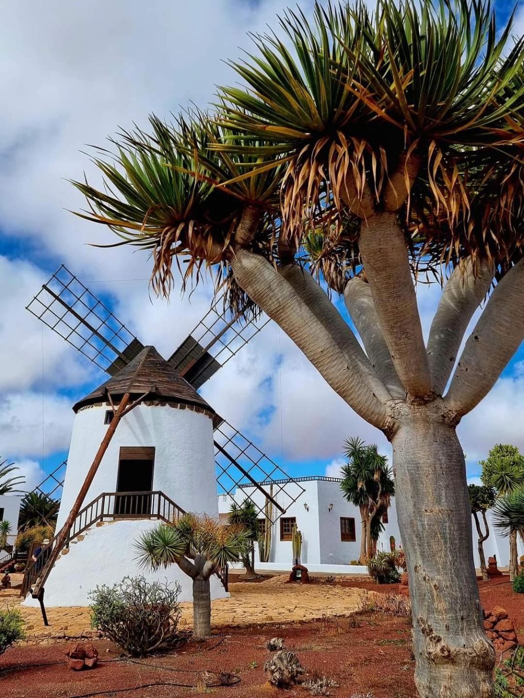 Apartamento Casa Del Mar - Corralejo Playa Exterior foto